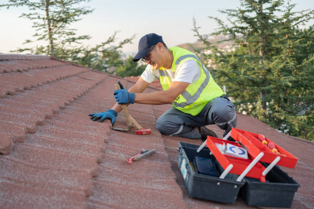 Best Roof Waterproofing Services  in Alb, IA