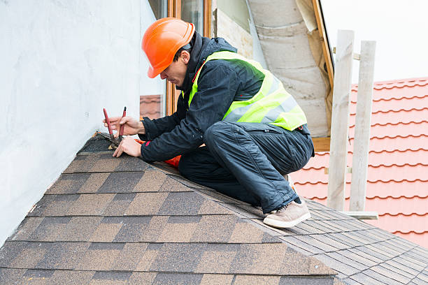 Best Flat Roof Repair Services  in Alb, IA